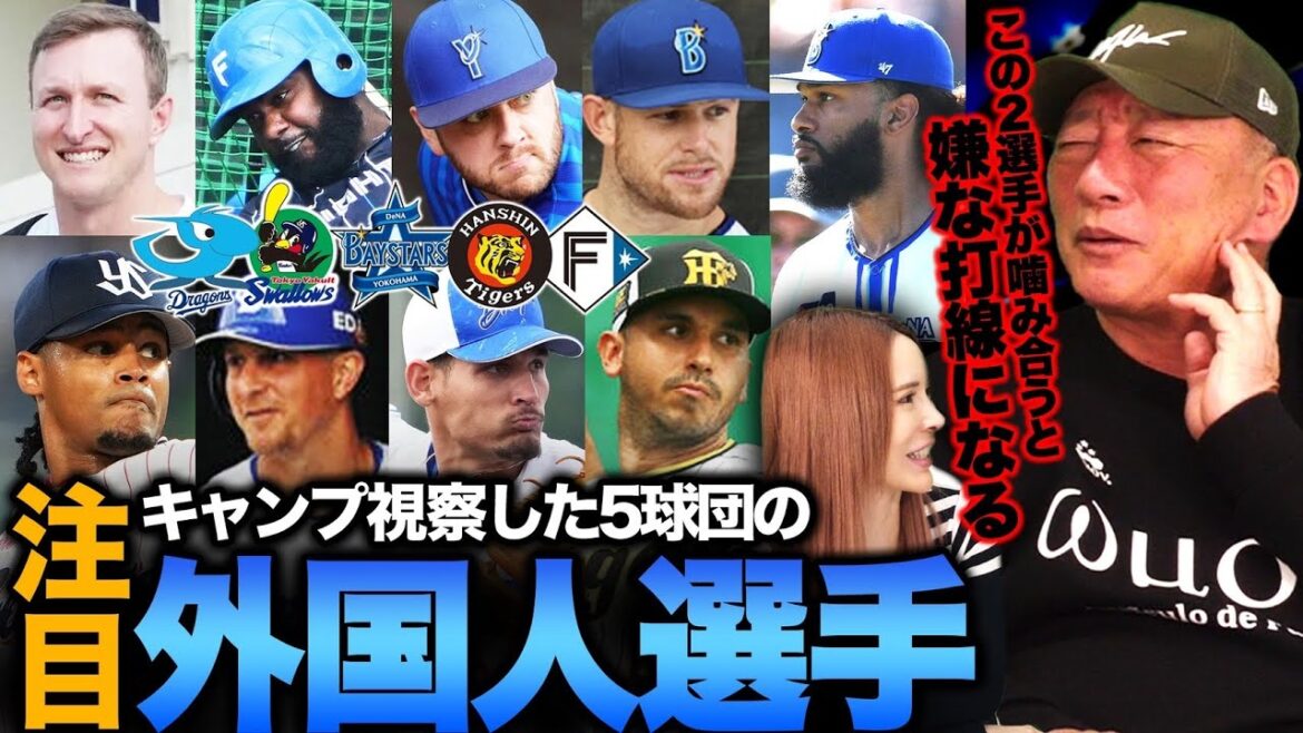 【外国人査定】『この選手はバレンティン・カブレラよりも長打力がある』『性格含めて安定して活躍できる』各球団で注目の外国人選手を発表します!!【中日】【ヤクルト】【日本ハム】【横浜DeNA】【阪神】