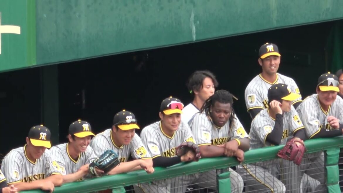 【阪神】打球がベンチ上に当たって ミエセスと木浪聖也が飛んで来たらどうする?と話す 現地映像