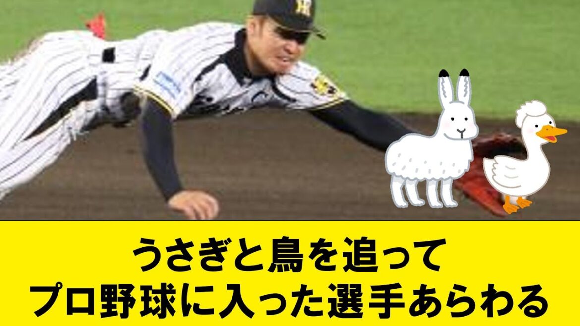 【野人】うさぎと鳥を追ってプロ野球に入った選手あらわる【なんJコメント付き】