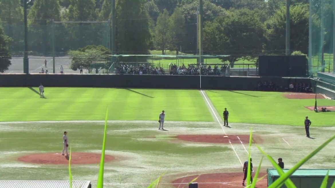 スワローズ松本直樹を打ち取る井上温大（２軍 ヤクルトスワローズ 対 読売ジャイアンツ 2023年9月10日）