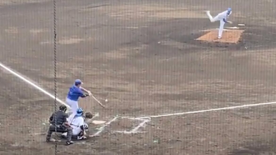 【牧秀悟】オープン戦初ヒット 4回表 名護 マーフィー 北海道日本ハムファイターズ 横浜DeNAベイスターズ