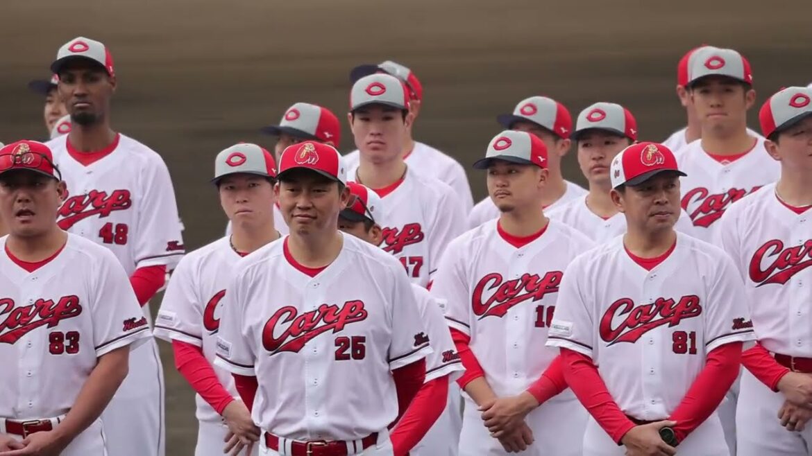 広島カープ日南キャンプ始動❗新井カープ天福球場入り 2024.2.1 広島カープ日南キャンプ始動❗新井カープ天福球場入り 2024.2.1