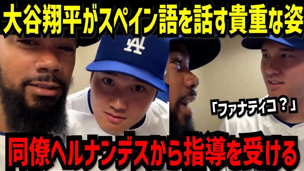 大谷翔平がヘルナンデスからスペイン語を学ぶ貴重な姿【大谷翔平】 大谷翔平がヘルナンデスからスペイン語を学ぶ貴重な姿【大谷翔平】
