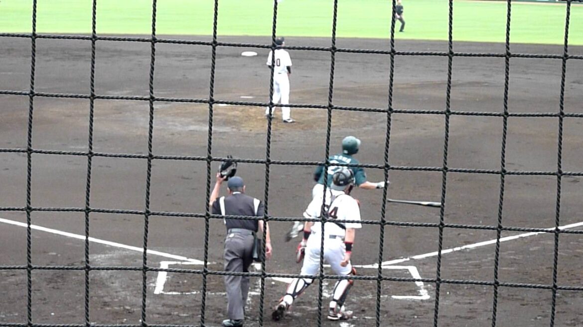 2011年6月5日 宮國椋丞(2010年巨人ドラフト２位) プロ初登板（２回表）