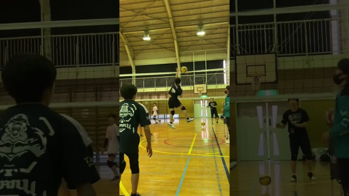 【バレーボール】243cmのネットで戦う中学生たち🔥