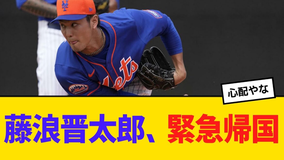藤浪晋太郎、緊急帰国【2ch】【5ch】【反応】 藤浪晋太郎、緊急帰国【2ch】【5ch】【反応】