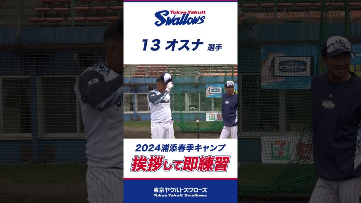 挨拶して即練習！ #swallows #プロ野球 #東京ヤクルトスワローズ #shorts #オスナ