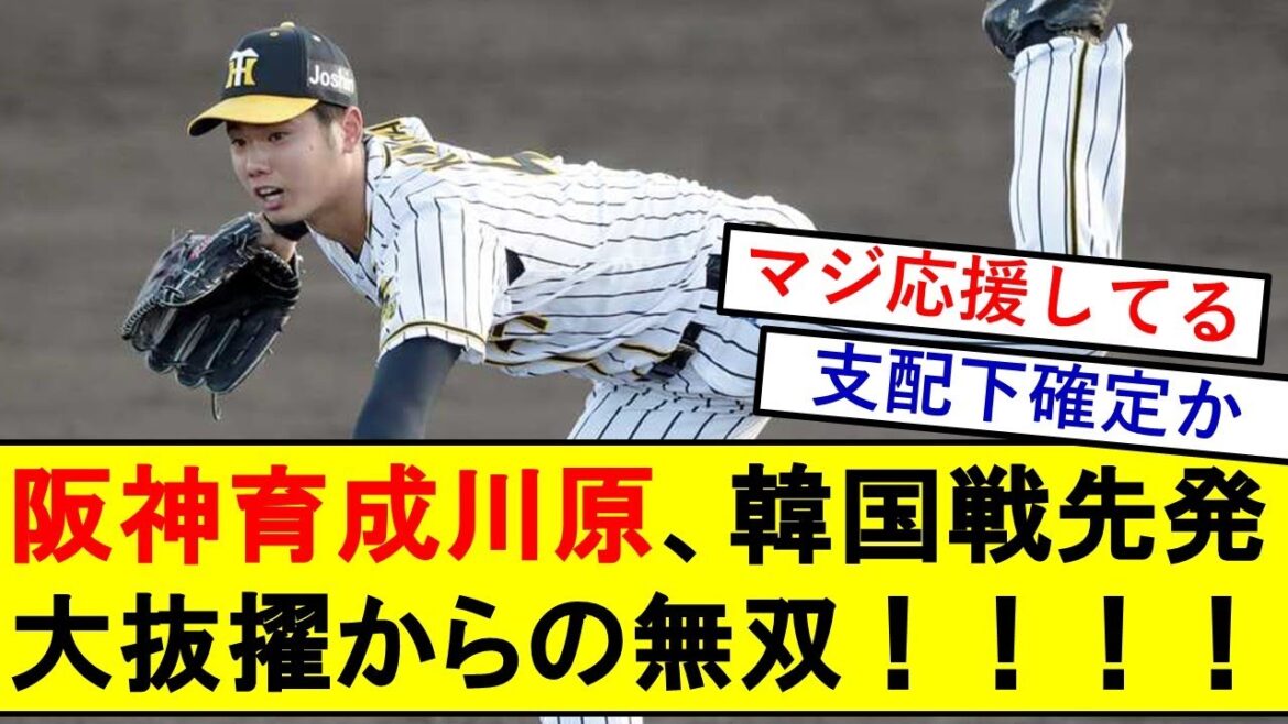 【阪神】育成左腕 川原陸、サムスン戦の先発に大抜擢され無双→支配下契約へ!!!【阪神タイガース】【野球反応集】 【阪神】育成左腕 川原陸、サムスン戦の先発に大抜擢され無双→支配下契約へ!!!【阪神タイガース】【野球反応集】