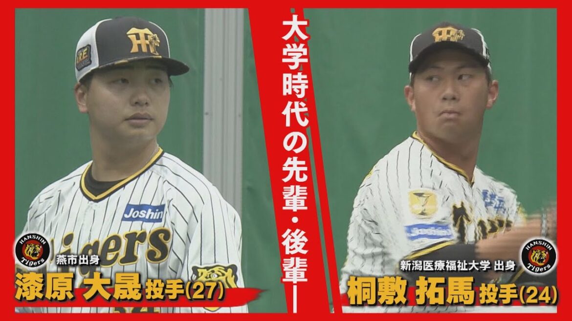 【プロ野球沖縄キャンプ】阪神「アレンパ」に貢献を!活躍誓う県勢投手【新潟】スーパーJにいがた2月19日OA 【プロ野球沖縄キャンプ】阪神「アレンパ」に貢献を!活躍誓う県勢投手【新潟】スーパーJにいがた2月19日OA