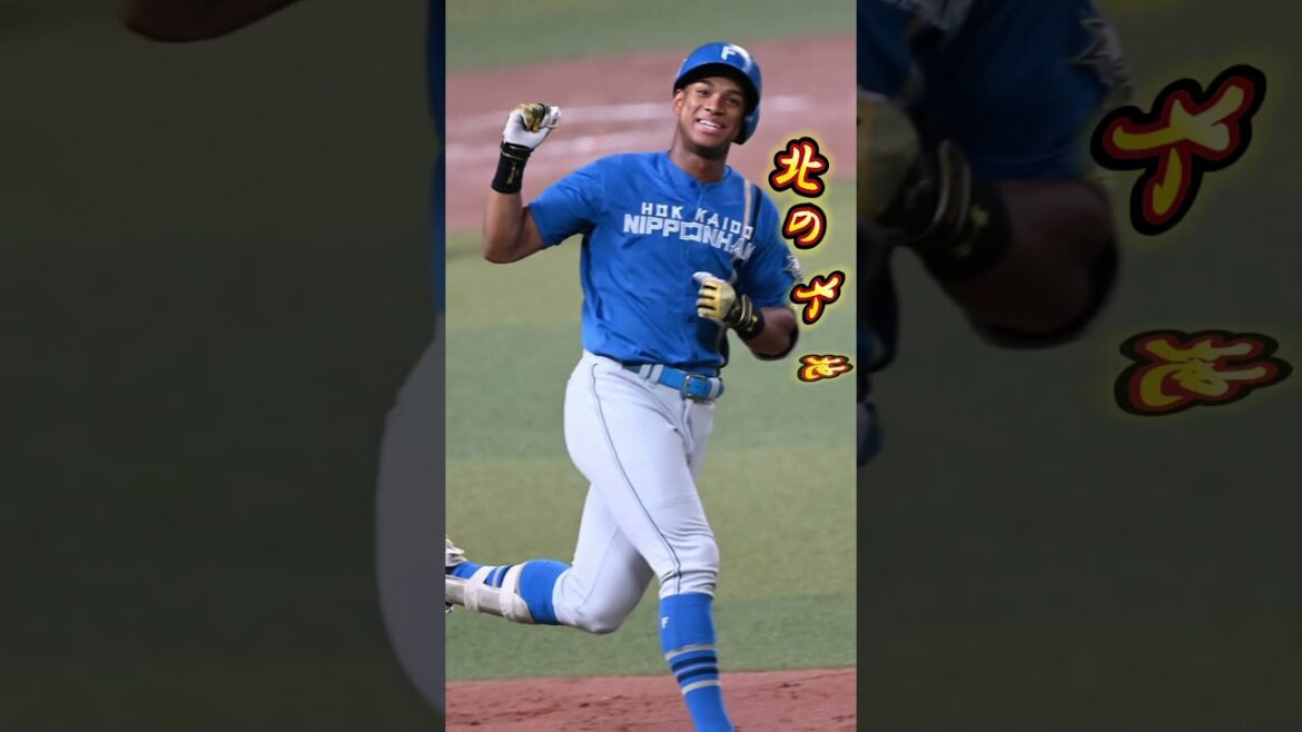 侍ジャパンVS欧州強化試合 スタメン予想 #侍ジャパン #塩見泰隆 #中野拓夢 #近藤健介 #村上宗隆 #森下翔太 #万波中正 #坂倉将吾 #石川昂弥 #源田壮亮 #森下暢仁 #スタメン予想