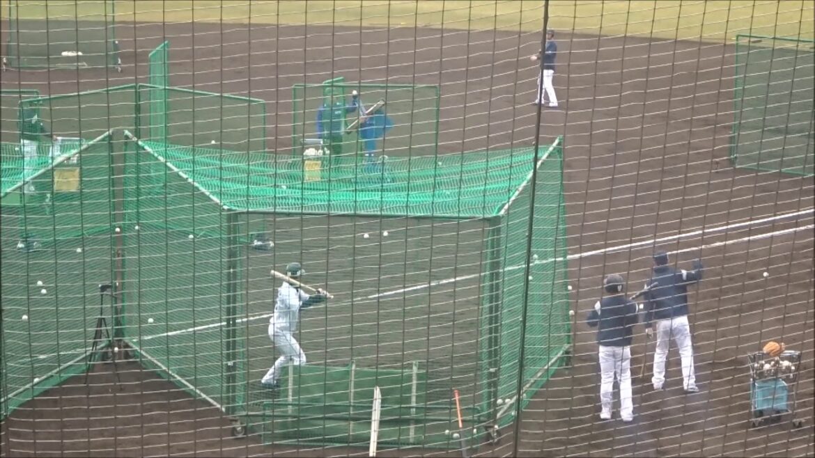 埼玉西武ライオンズ春季キャンプ2018（高知・春野）／フリーバッティング①