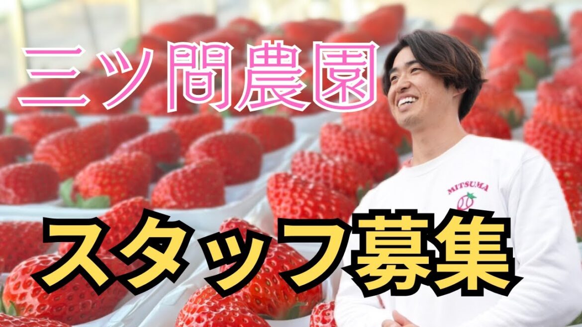 三ツ間農園スタッフ募集します! 三ツ間農園スタッフ募集します!