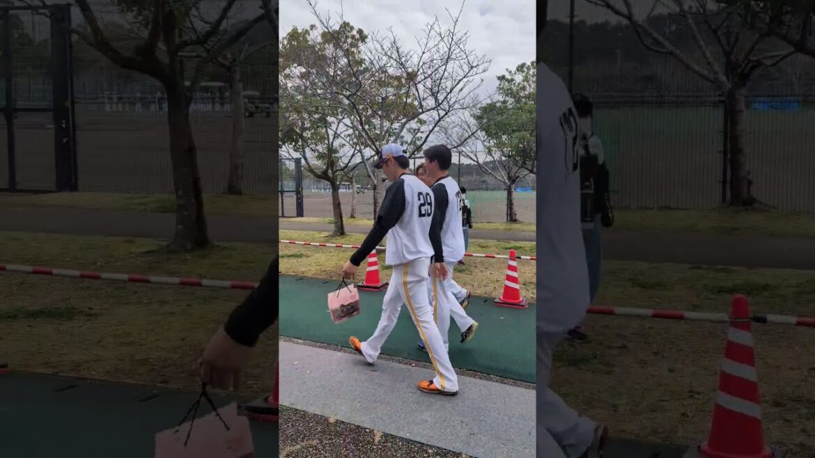 福岡ソフトバンクホークス 石川柊太投手 渡邊佑樹投手 鍬原拓也投手