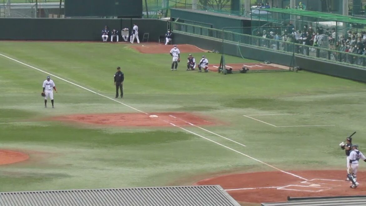 1軍上がりそう菅野剛士のタイムリー （2022/4/17 イースタン ヤクルトスワローズ対 千葉ロッテ マリーンズ）