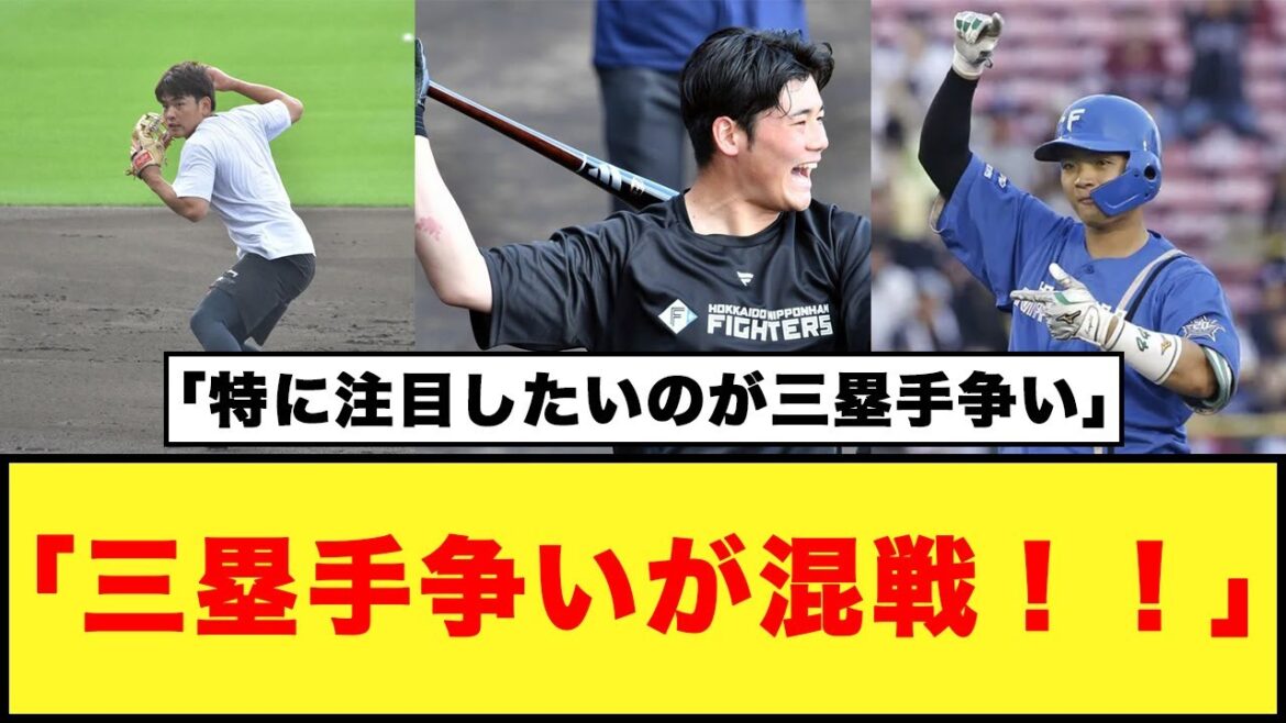 【日本ハム】「三塁手争いが混戦！！」　日本ハムのレギュラー争いが熱い！！【ネットの反応】【プロ野球反応集】#プロ野球 #日本ハムファイターズ #清宮幸太郎