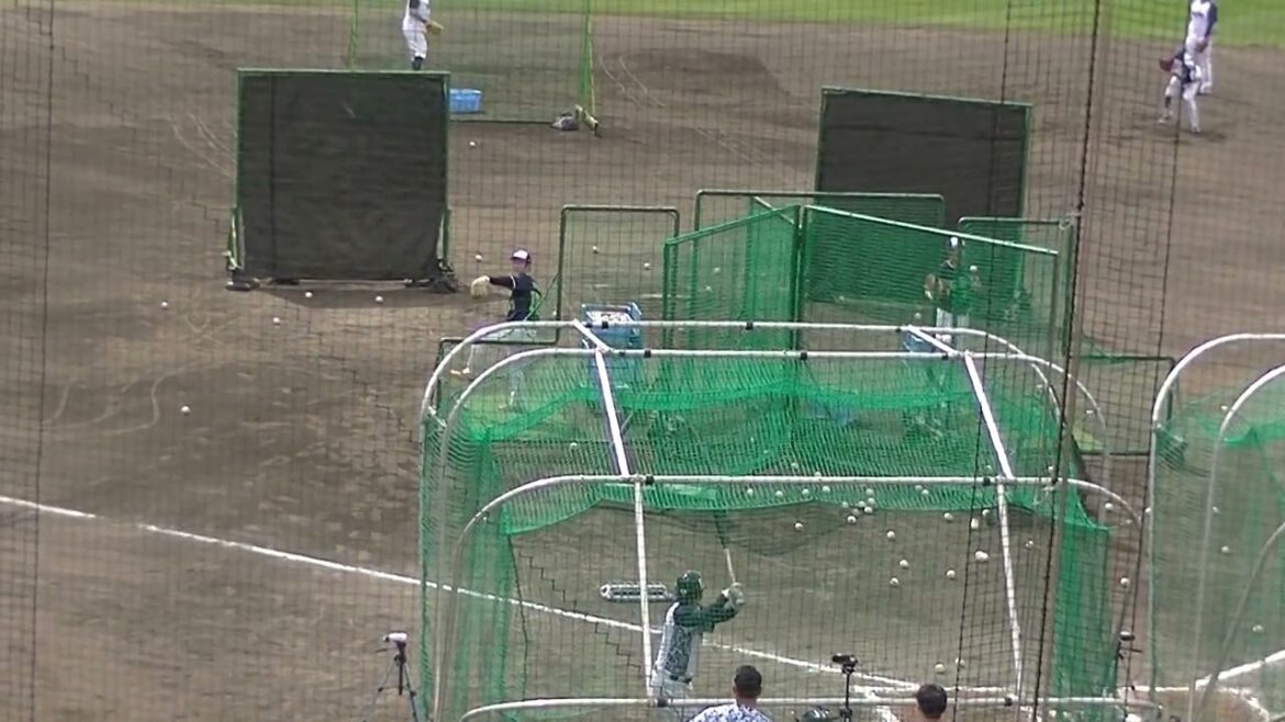 【ヤクルトキャンプ】赤羽由紘のフリーバッティング【春季浦添キャンプ ヤクルトスワローズ2024年2月20日】