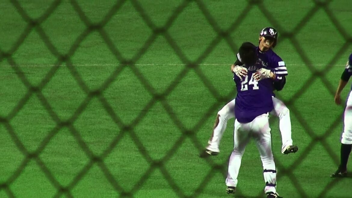 2013.9.28 ｿﾌﾄﾊﾞﾝｸVS西武　長谷川勇也選手　サヨナラヒット！