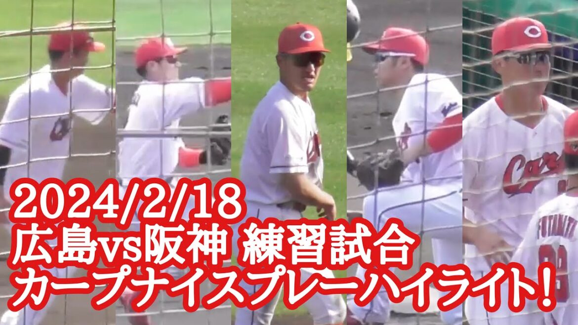 【広島カープ守備編】今日の熱盛プレーハイライト！広島カープvs阪神タイガース練習試合 2024年2月18日