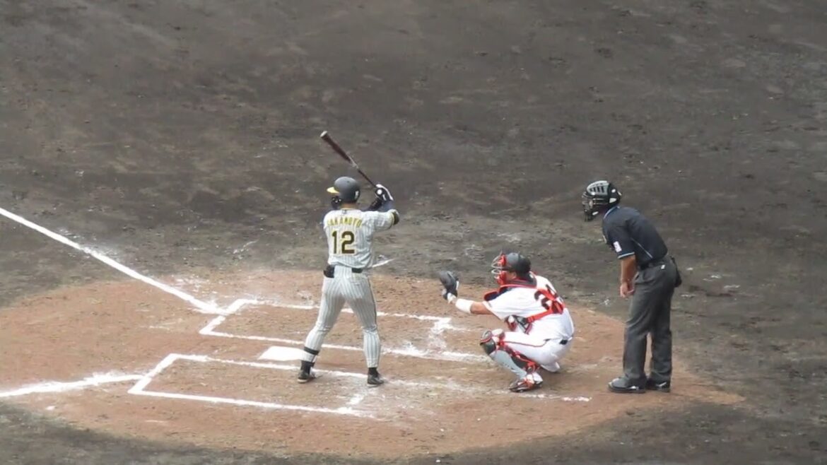 【タイガース】坂本誠志郎2024年 打撃フォーム（巨人阪神オープン戦2024年2月23日）