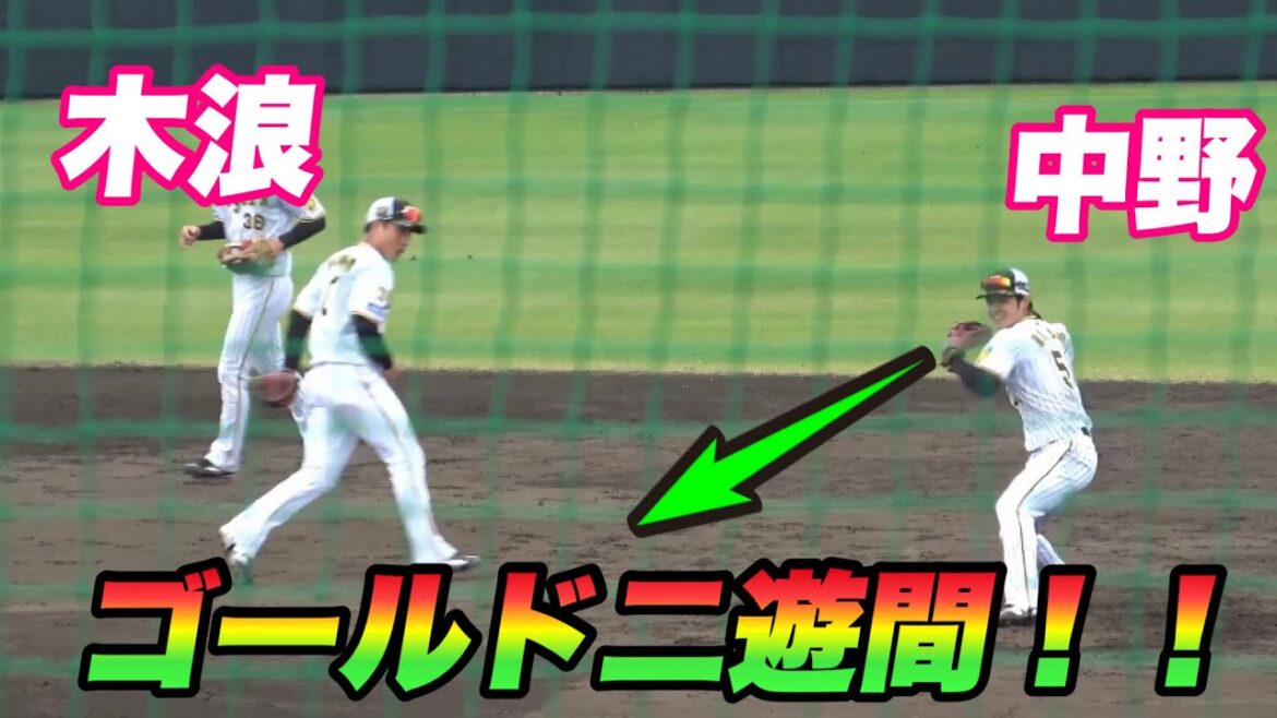 【令和のアライバ!!中野 木浪がずば抜けて上手い!!阪神内野手のノック!!】 【令和のアライバ!!中野 木浪がずば抜けて上手い!!阪神内野手のノック!!】