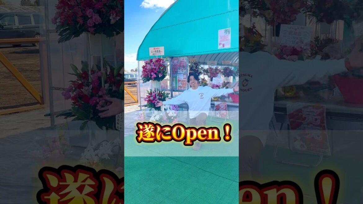 遂にOpen！！