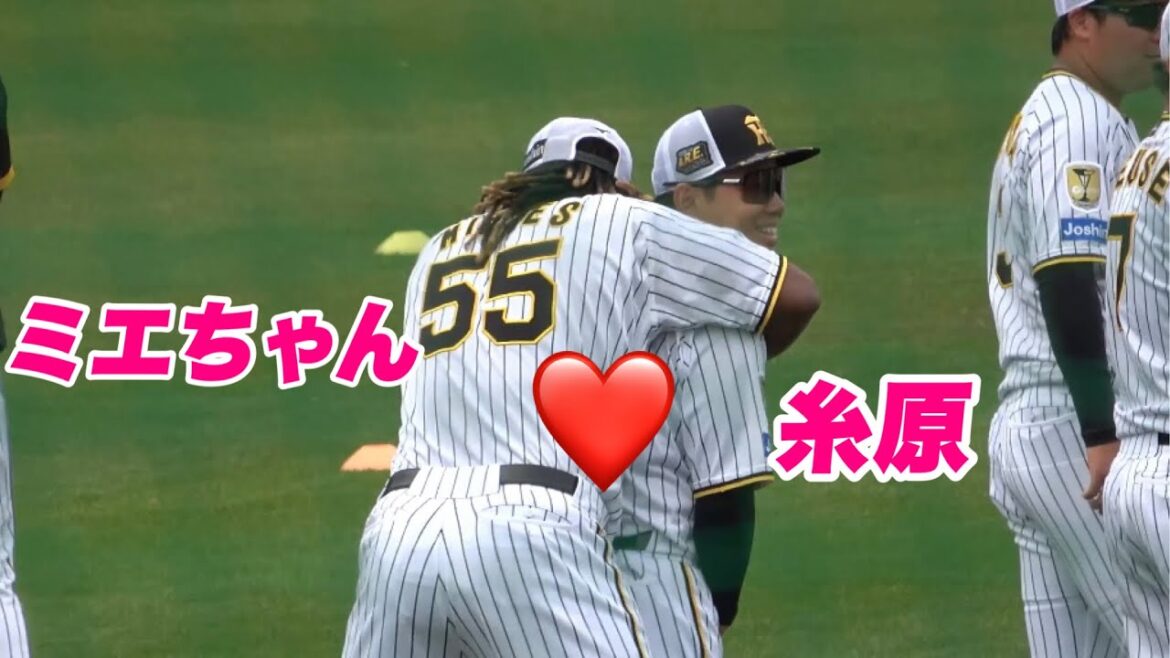 【糸原が好きすぎてたまらない!!アップ前に糸原に後ろから抱きつくミエちゃん!!】 【糸原が好きすぎてたまらない!!アップ前に糸原に後ろから抱きつくミエちゃん!!】