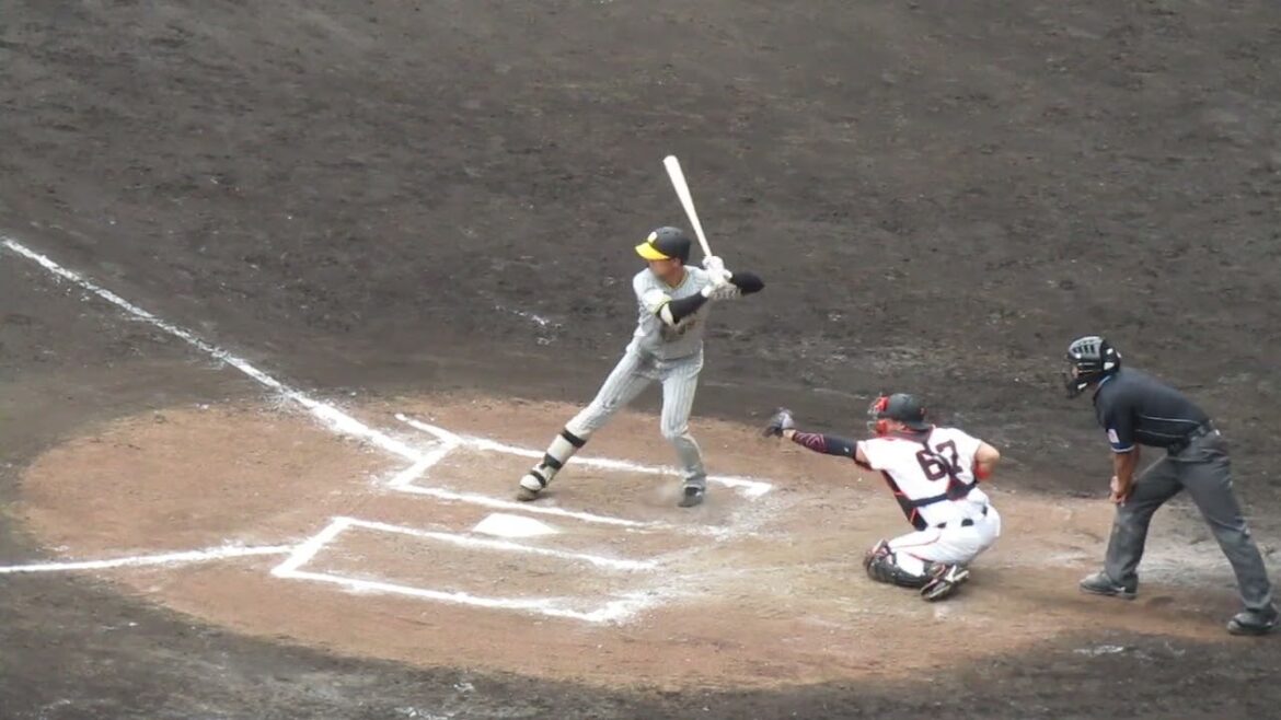 【タイガース】小幡竜平2024年 打撃フォーム （巨人阪神オープン戦2024年2月23日）