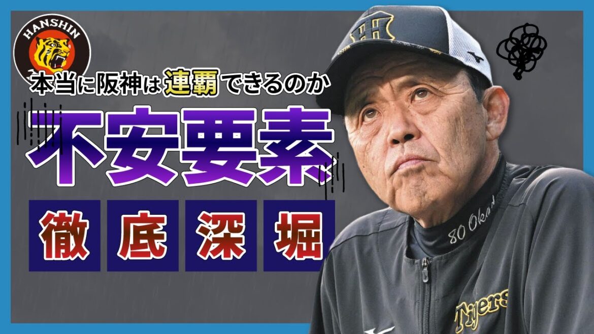 【連覇は可能?】現在の阪神に潜む不安要素5つを深掘りします!【阪神タイガース】 【連覇は可能?】現在の阪神に潜む不安要素5つを深掘りします!【阪神タイガース】