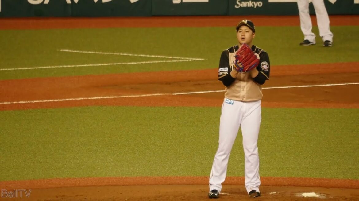 北海道日本ハムファイターズ 堀瑞輝  投球フォーム