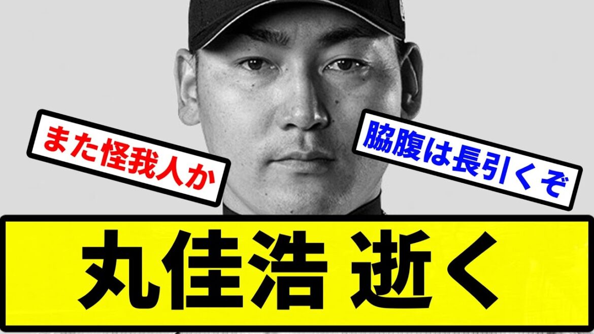 【どうすんねん】丸佳浩 逝く【確定申告から帰宅しました】【プロ野球反応集】【2chスレ】【1分動画】【5chスレ】