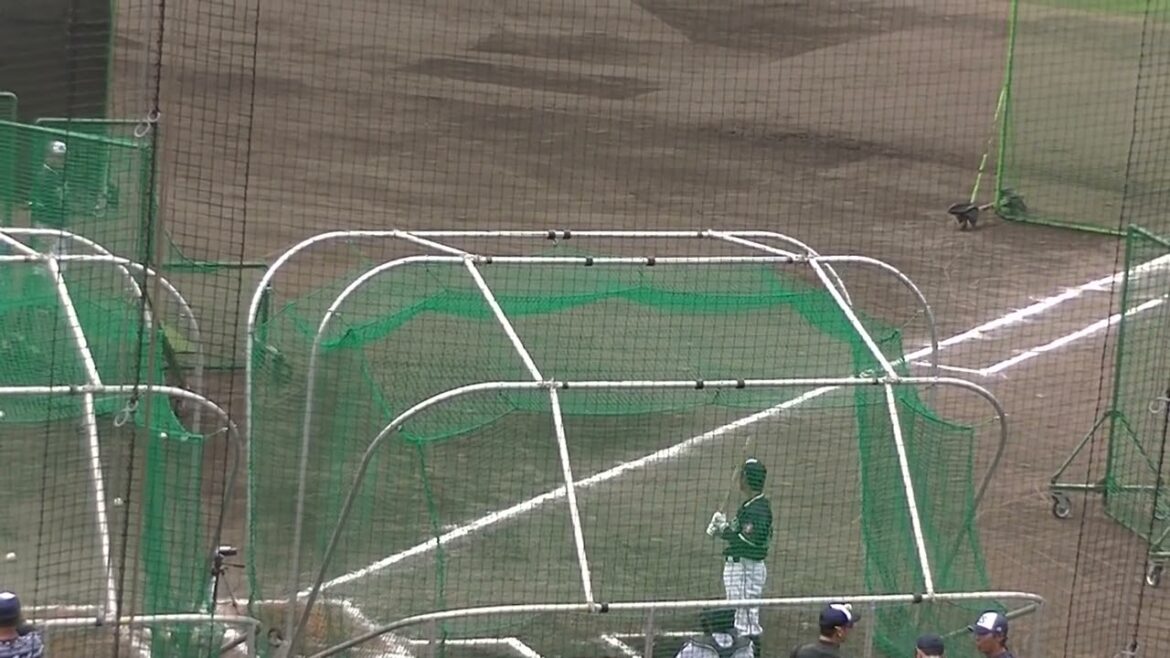 【ヤクルトキャンプ】青木宣親のフリーバッティング 対左投手【春季浦添キャンプ ヤクルトスワローズ2024年2月20日】