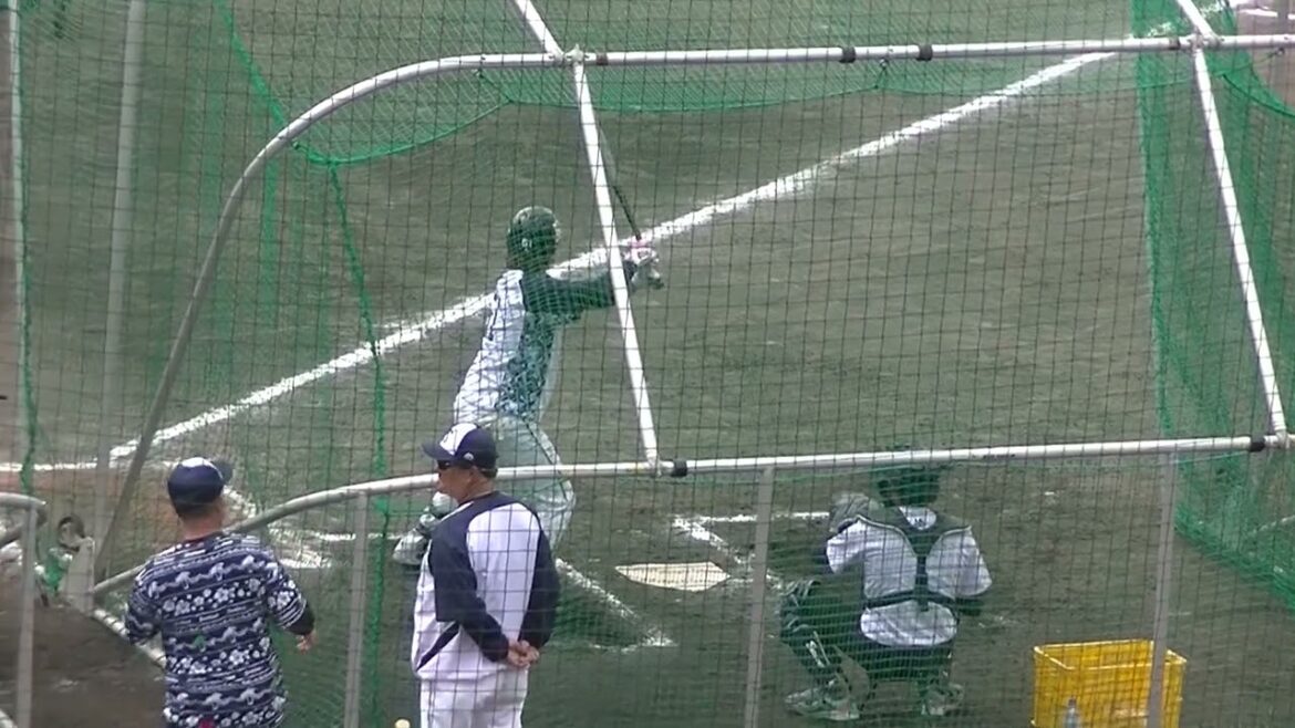 【ヤクルトキャンプ】濱田太貴のフリーバッティング【春季浦添キャンプ ヤクルトスワローズ2024年2月20日】