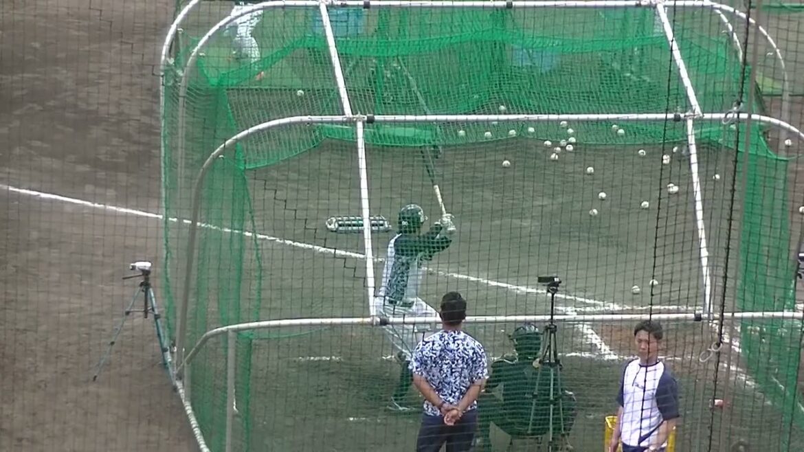 スワローズ赤羽由紘のフリーバッティング練習〜東京ヤクルトスワローズ春季キャンプ2024年2月20日