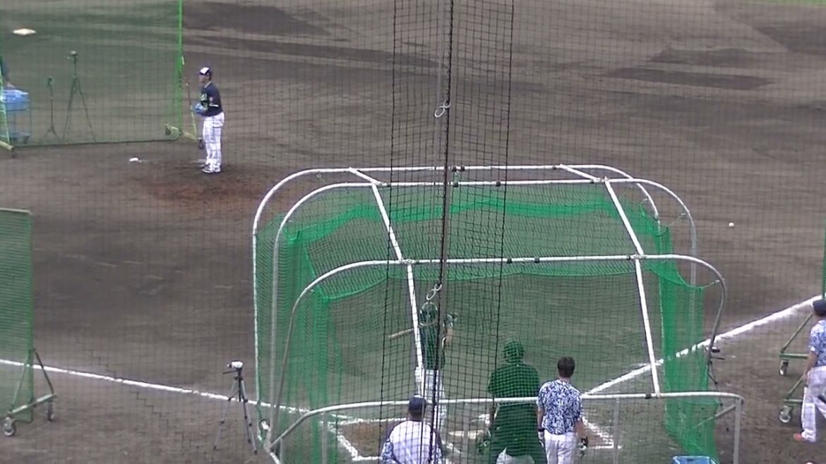 【ヤクルトキャンプ】清水昇と対決する中村悠平【春季浦添キャンプ ヤクルトスワローズ2024年2月20日】