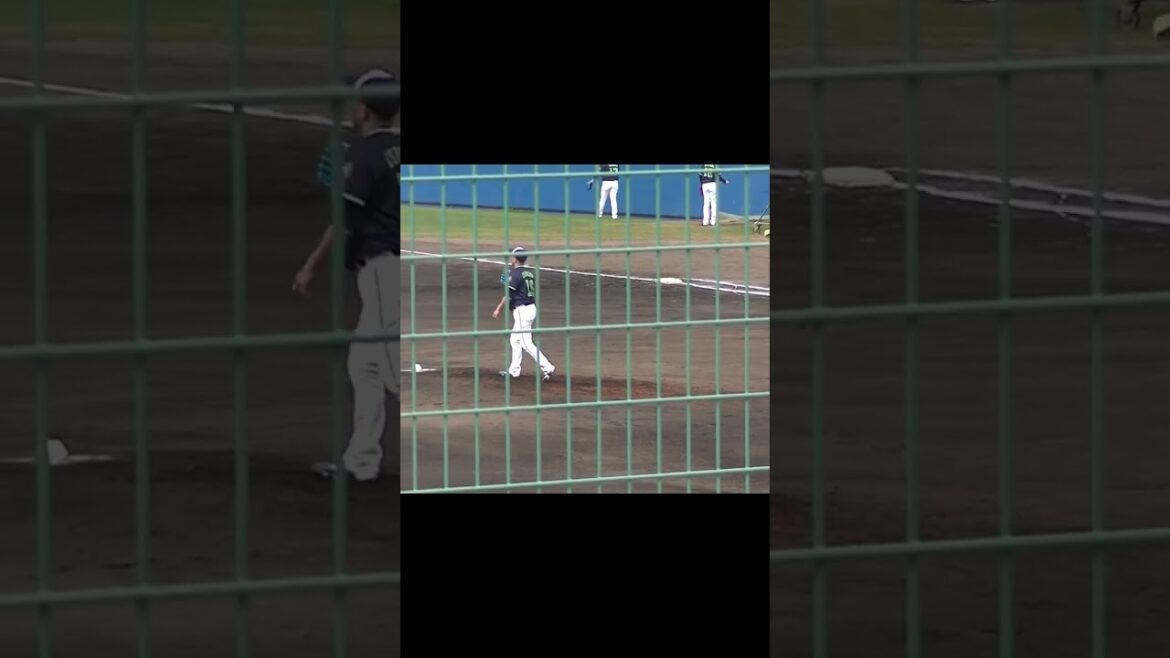 【ヤクルトキャンプ】23年目 石川雅規の投球フォーム【春季浦添キャンプ ヤクルトスワローズ2024年2月20日】