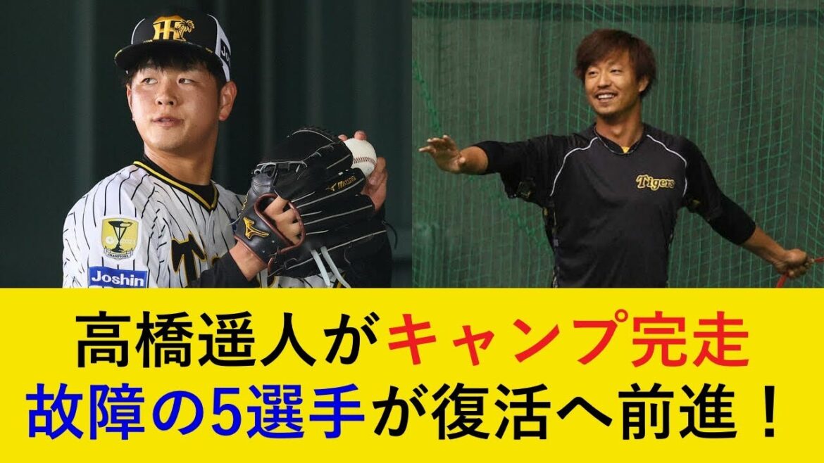 【復活へ前進！】高橋遥人は復活に手応え！故障があった5選手の最新情報【阪神タイガース】