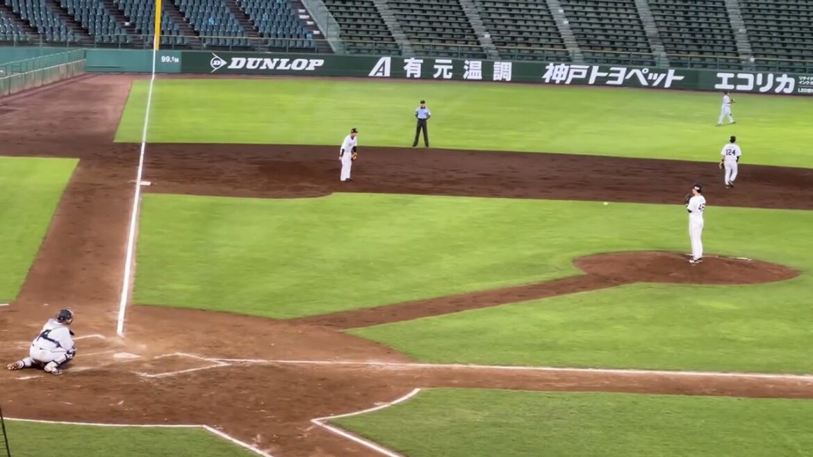 本田仁海投手　投球練習