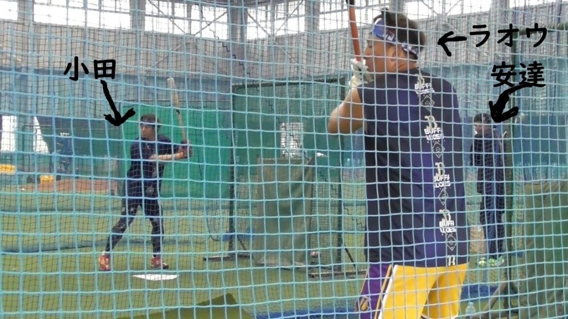 仕事だから　取り敢えず頑張りましょう　＃オリックスバファローズ　＃杉本裕太郎