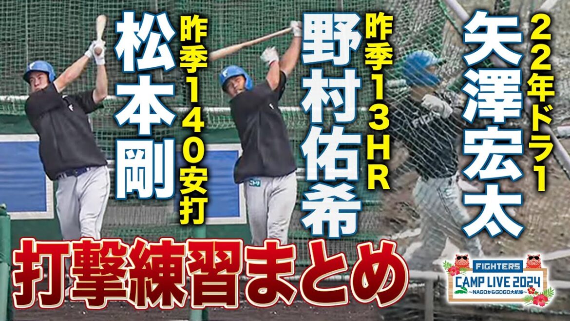 松本剛×野村佑希×矢澤宏太 打撃練習まとめ＜2/18ファイターズ春季キャンプ2024＞