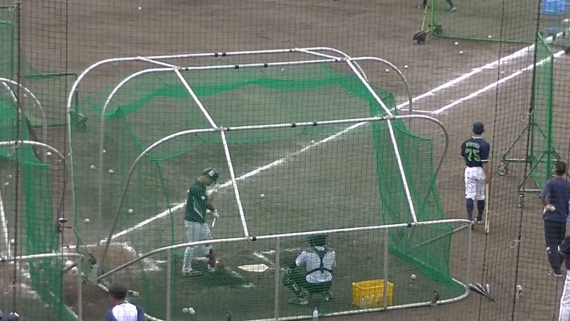 【ヤクルトキャンプ】内山壮真のフリーバッティング【春季浦添キャンプ ヤクルトスワローズ2024年2月20日】