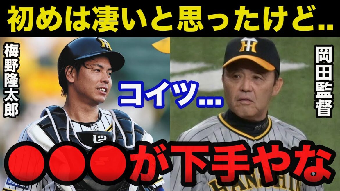 阪神.岡田監督「梅野はいつもやるよな..」岡田監督が正捕手.梅野隆太郎に不信感を抱き坂本誠志郎と併用となったある出来事がヤバい【阪神タイガース/プロ野球】