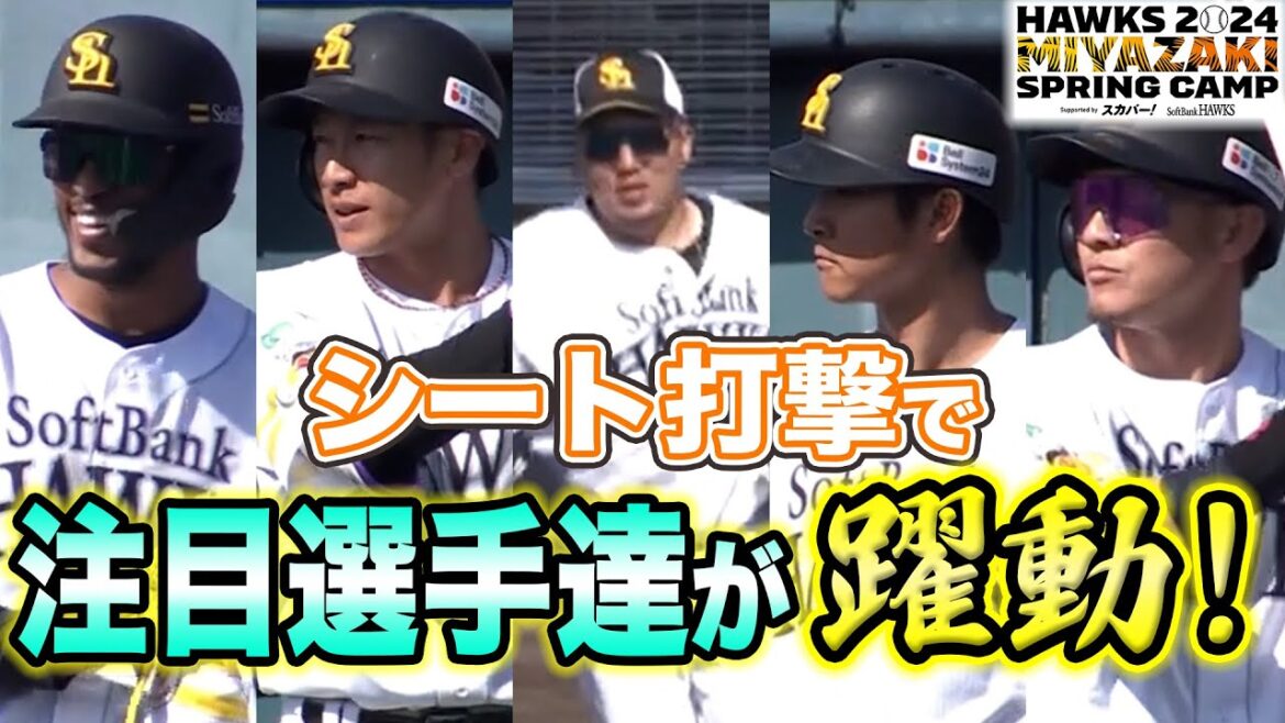 【本番さながら！】シート打撃で注目選手達が躍動！【2/12 ホークス春季キャンプ2024】