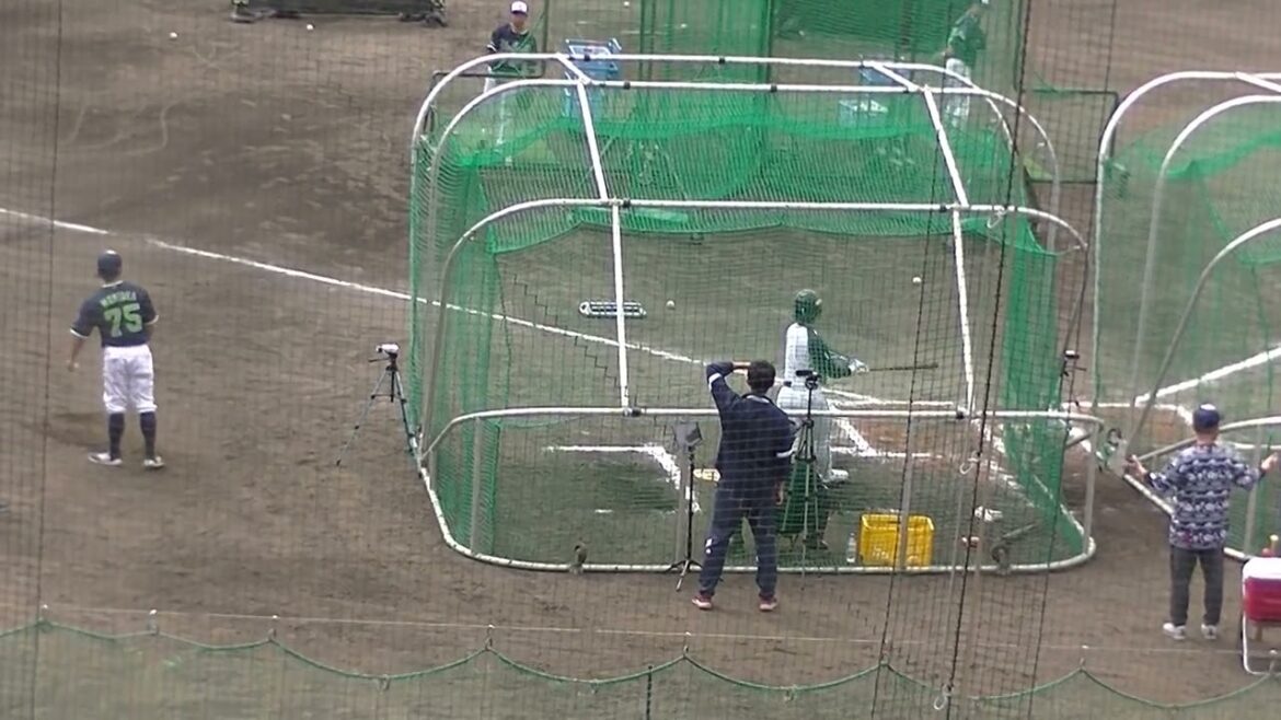 【ヤクルトキャンプ】長岡秀樹のフリーバッティング【春季浦添キャンプ ヤクルトスワローズ2024年2月20日】