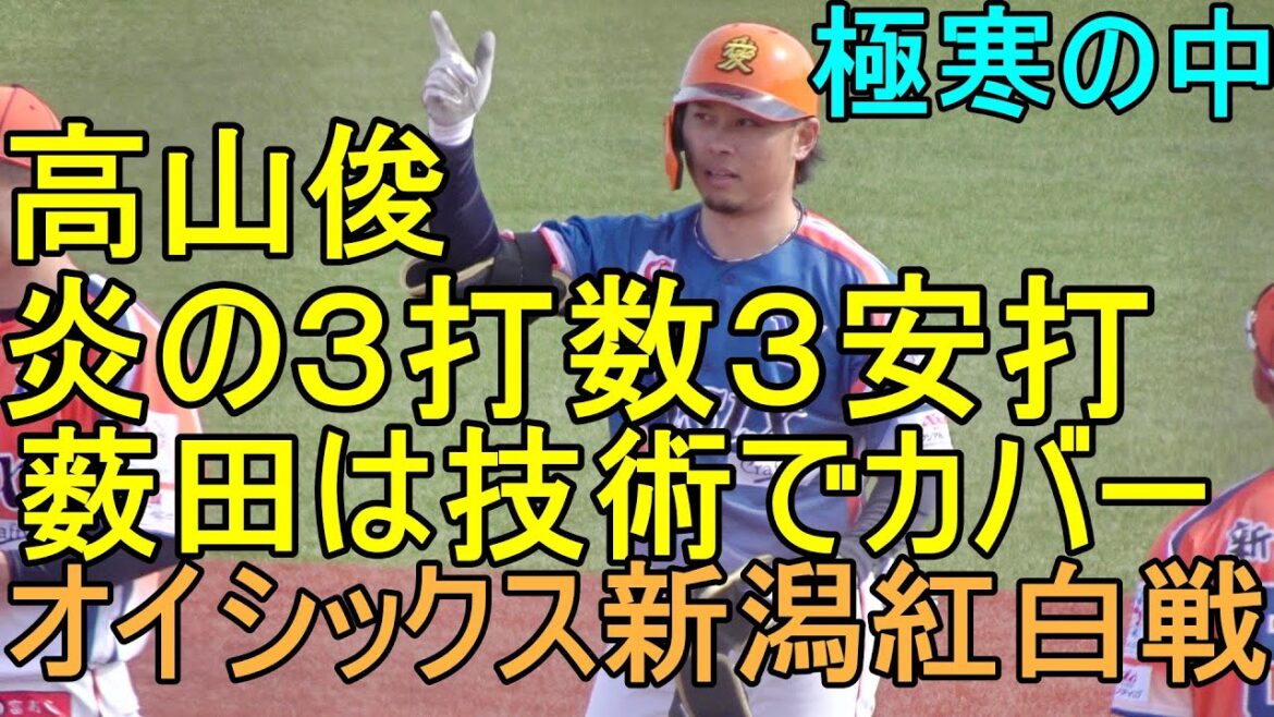 高山俊、寒さを吹き飛ばす炎の３打数３安打、薮田は技術力発揮、オイシックス新潟紅白戦2024.2.24