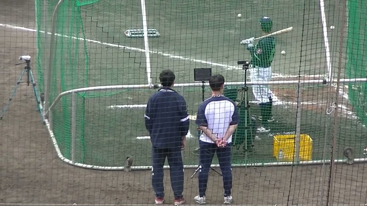 スワローズ青木宣親のフリーバッティング練習〜東京ヤクルトスワローズ春季キャンプ2024年2月20日