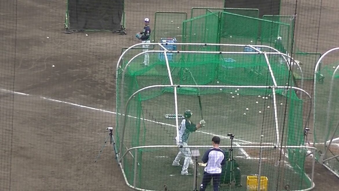 【ヤクルトキャンプ】巨人から移籍 北村拓己のフリーバッティング【春季浦添キャンプ ヤクルトスワローズ2024年2月20日】