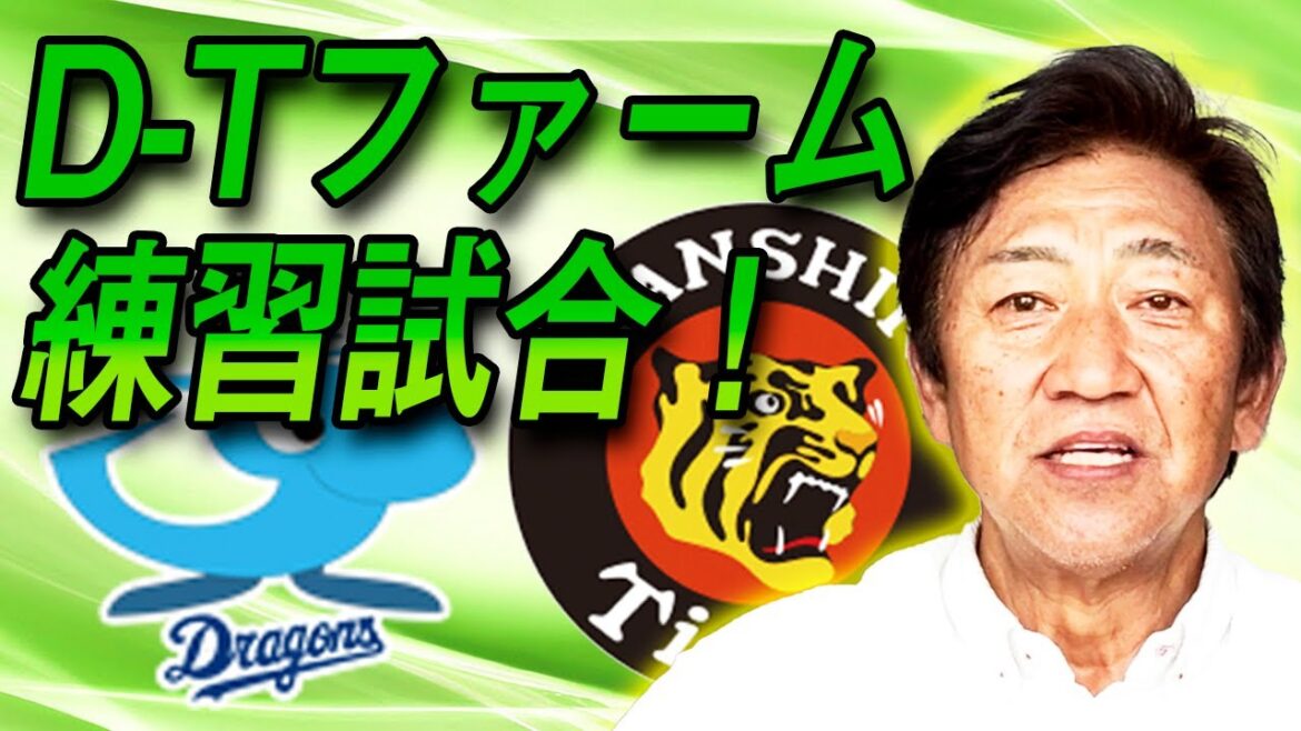 D・岩嵜翔投手復活！T・岩田投手好投！