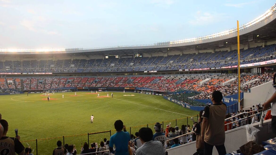2013.6.24 ファイターズ大野奨太応援歌@千葉マリンスタジアム
