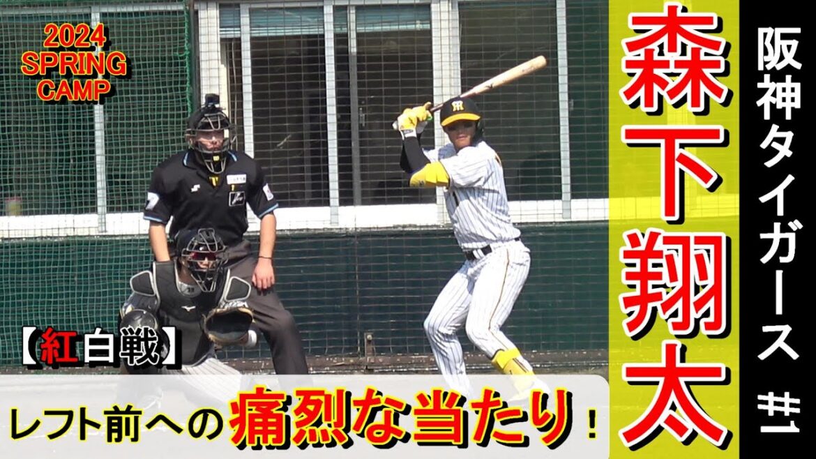 【2024春季キャンプ】森下翔太・・・紅白戦でレフト前への痛烈な当たり！【阪神タイガース】