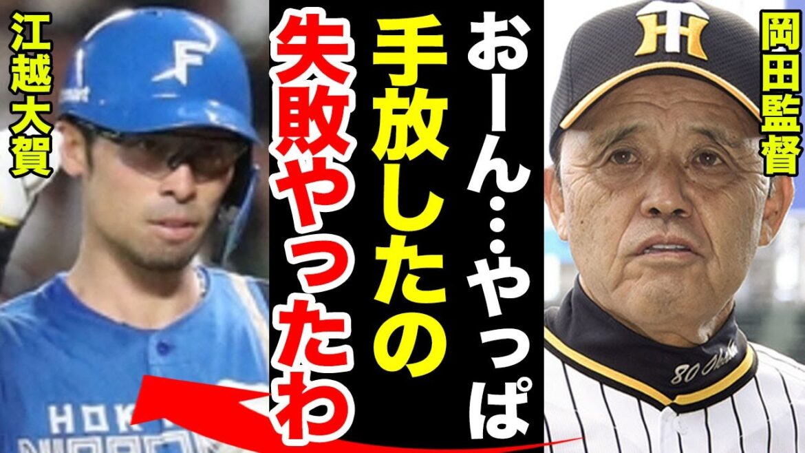 日ハム・江越大賀外野手が苦手克服の場外弾で大活躍！阪神・岡田監督に『もったいないことしてもうたな』と思わせる覚醒前夜に一同驚愕！！【春季キャンプ/練習試合/プロ野球】